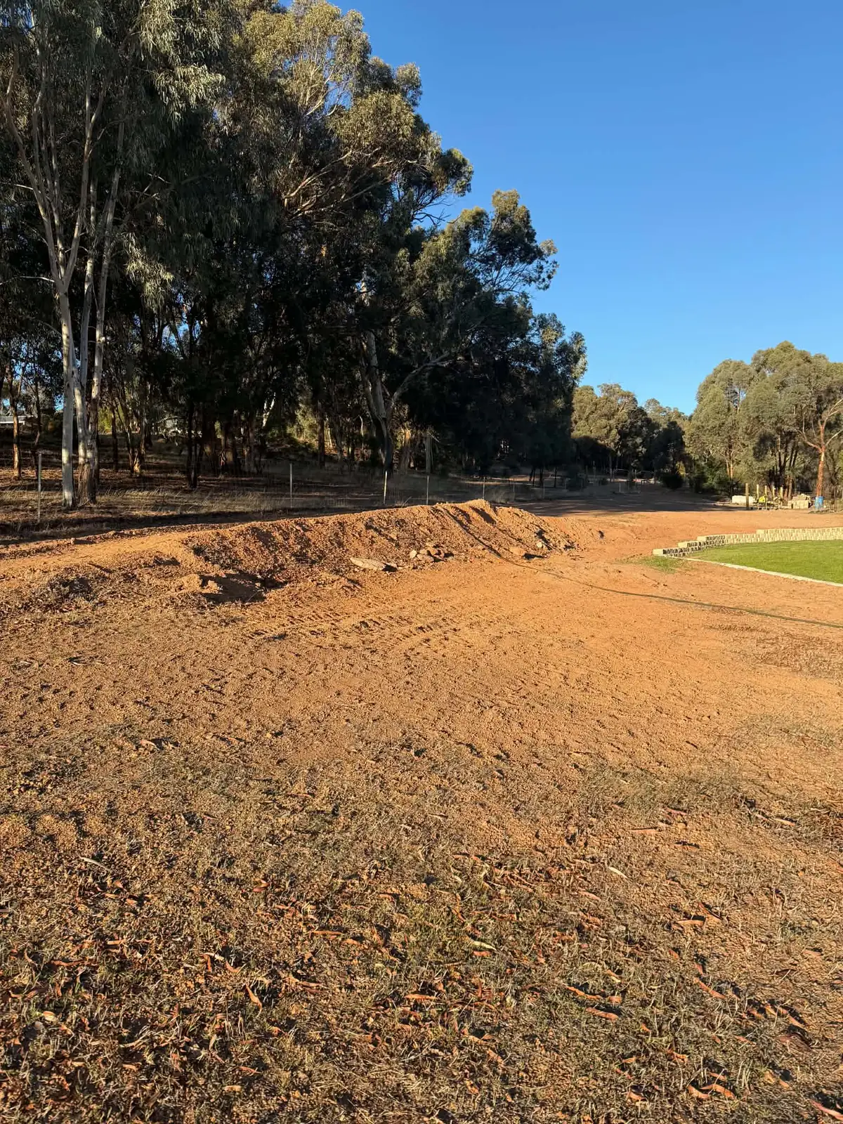 Graded red soil with a low bund along the edge of a stand of gum trees
