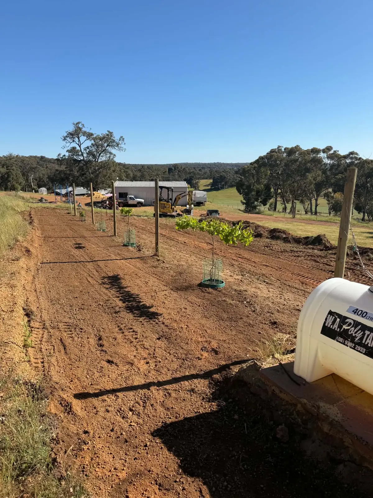 Red dirt planting rows with fence posts and young trees in guards, a mini excavator working in the distance